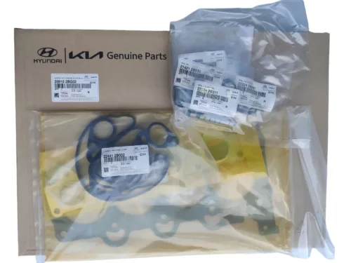 Комплект прокладок Kia Hyundai 209102bg02