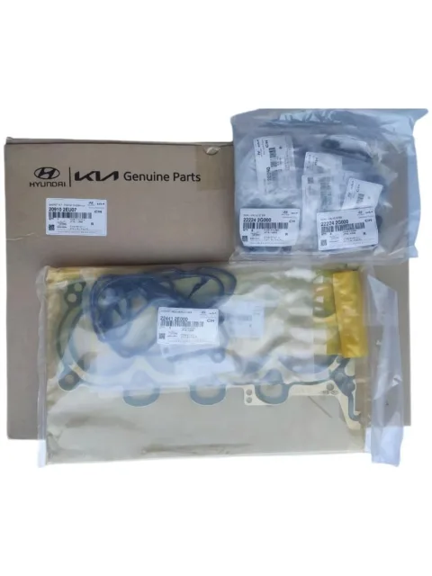 Комплект прокладок KIA hyundai 209102eu07