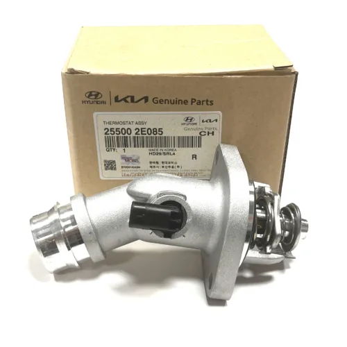 Термостат KIA hyundai 255002E085